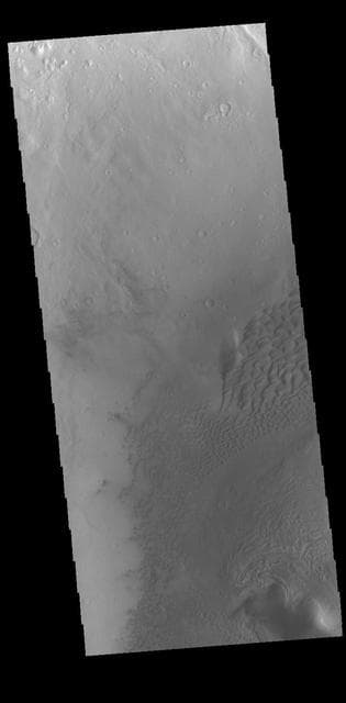 NASA image: Moreux Crater Dunes