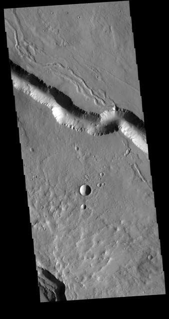 NASA image: Elysium Fossae