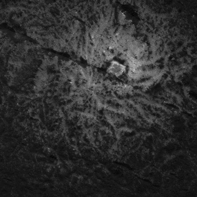 NASA image: Vinalia Faculae Detail