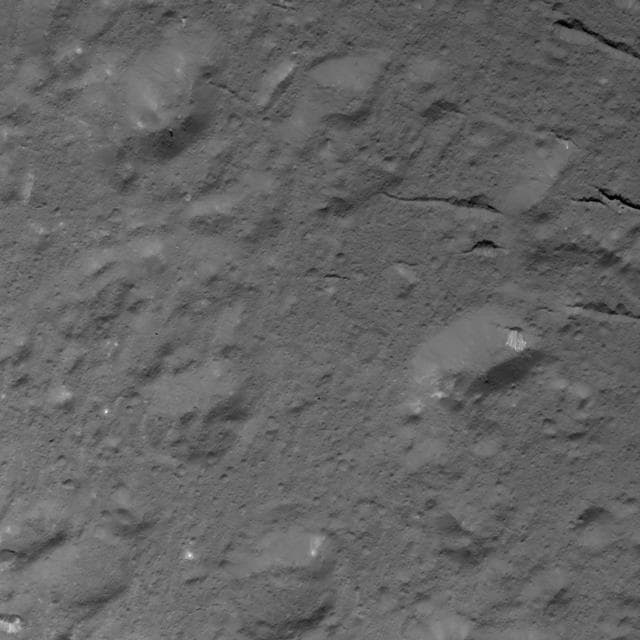 NASA image: Domes and Fractures in Occator Crater