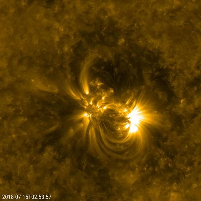 NASA image: Detailed Loops Above an Active Region