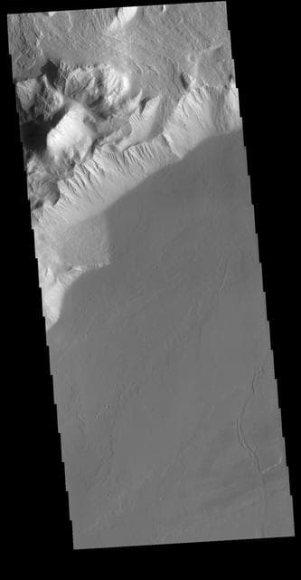 NASA image: Olympus Rupes