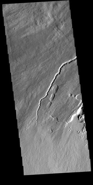 NASA image: Pavonis Mons