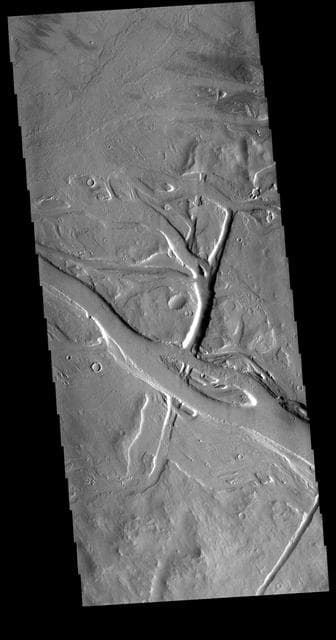 NASA image: Tharsis Volcanics