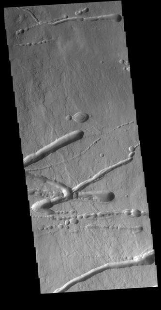 NASA image: Ascraeus Mons