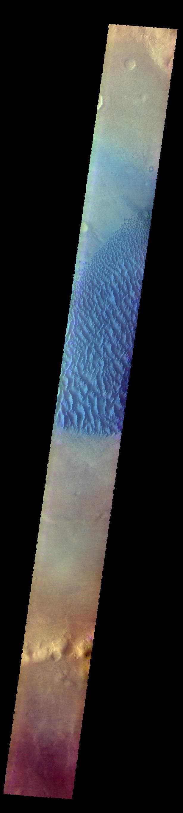 NASA image: Proctor Crater Dunes - False Color
