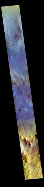 NASA image: Lyot Crater - False Color