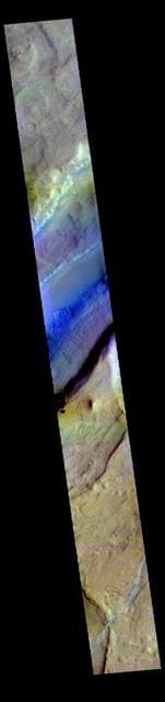 NASA image: Tempe Fossae - False Color