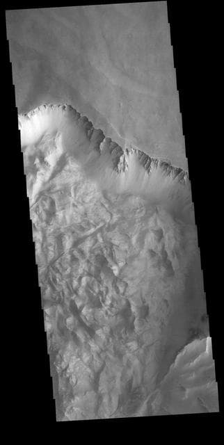 NASA image: Ophir Labes