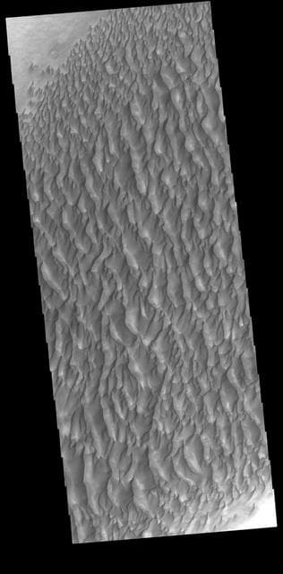 NASA image: Proctor Crater Dunes