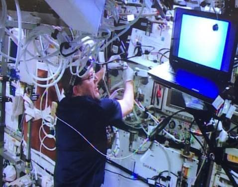 NASA image: CAL Astronaut Installation