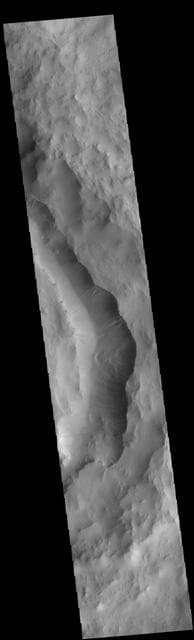 NASA image: Maunder Crater Gullies