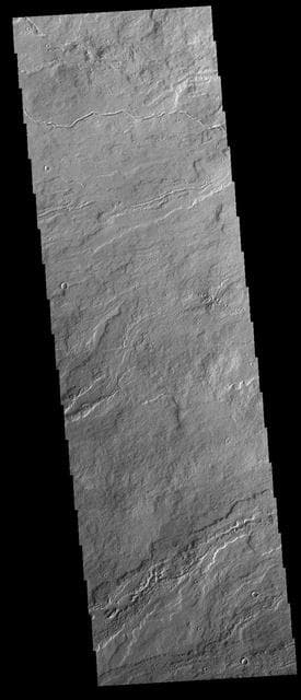 NASA image: Daedalia Planum