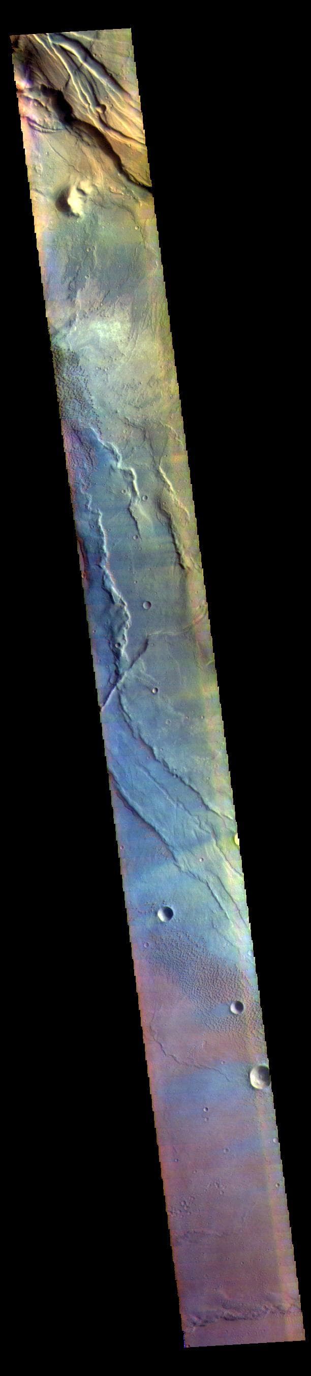NASA image: Syrtis Major Planum - False Color
