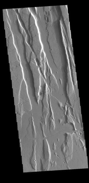 NASA image: Ceraunius Fossae