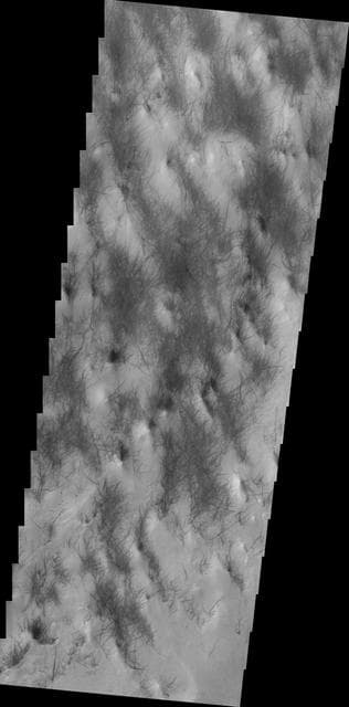 NASA image: Dust Devil Tracks
