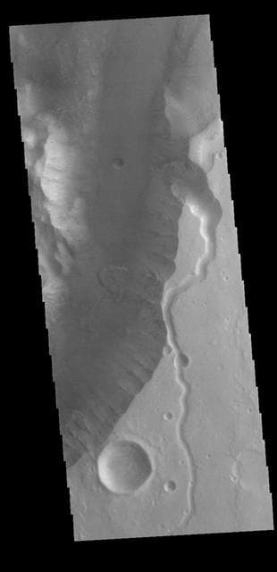 NASA image: Shalbatana Vallis