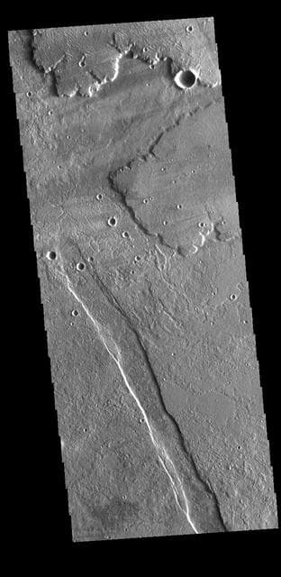 NASA image: Alba Mons