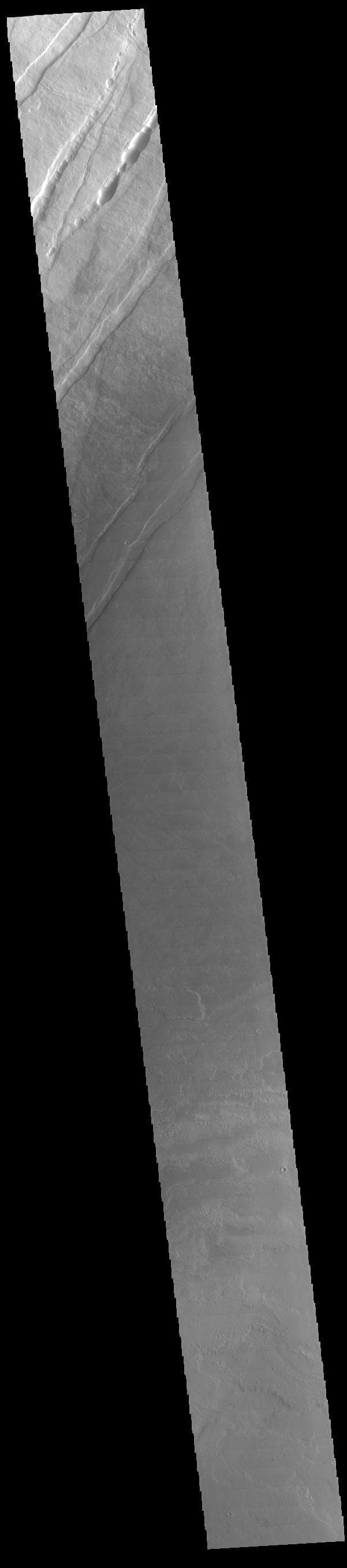 NASA image: Tharsis Volcanics