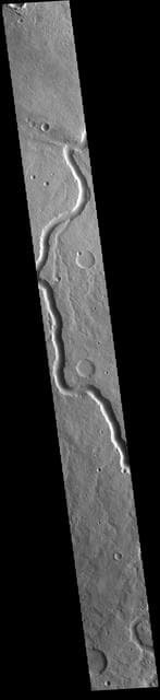 NASA image: Scamander Vallis