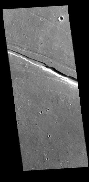 NASA image: Elysium Fossae