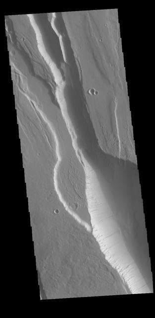 NASA image: Elysium Chasma