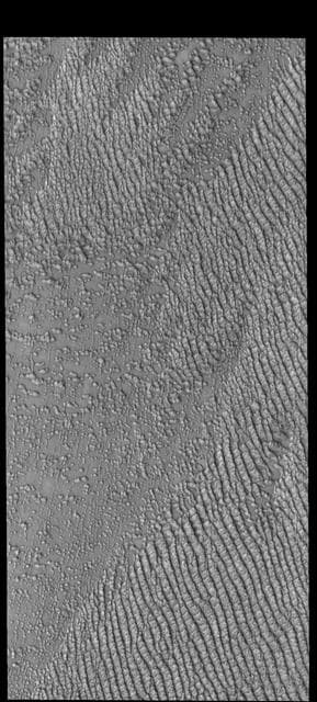 NASA image: Hyperboreae Undae