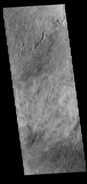 NASA image: Tharsis Volcanics