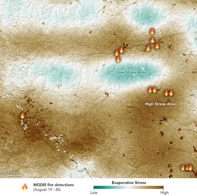 NASA image: Drought-Stressed Forest Fueled Amazon Fires
