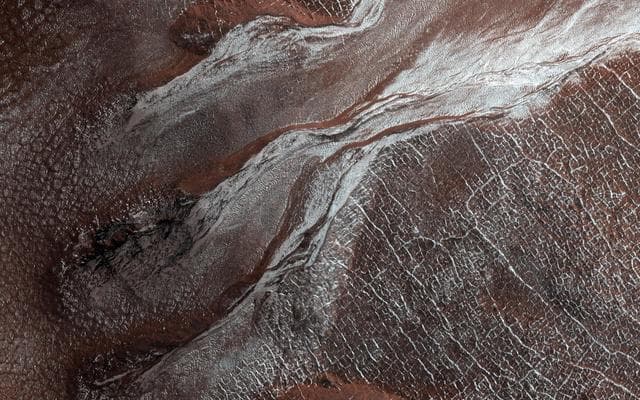 NASA image: Frost Highlights in the Springtime