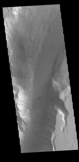 NASA image: Shalbatana Vallis