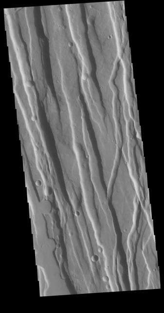 NASA image: Ceraunius Fossae