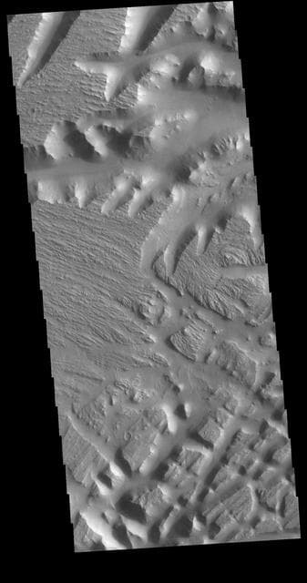 NASA image: Nilus Mensae