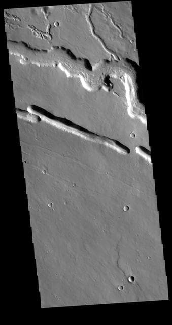 NASA image: Elysium Fossae