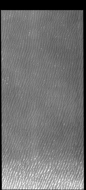 NASA image: Olympia Undae