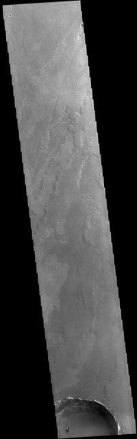 NASA image: Daedalia Planum