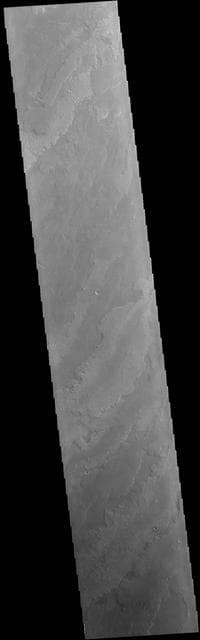 NASA image: Daedalia Planum