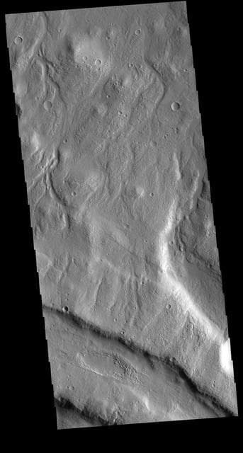 NASA image: Acheron Fossae