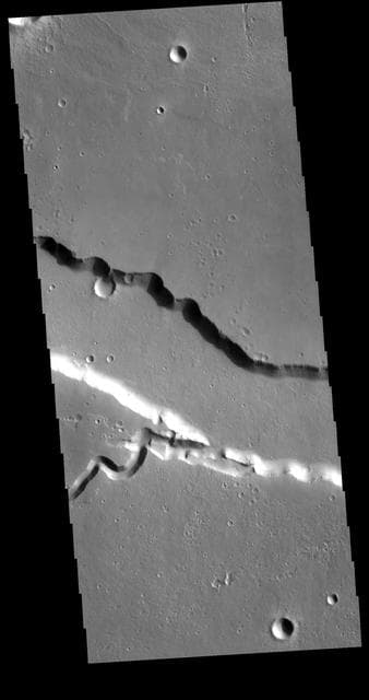 NASA image: Elysium Fossae