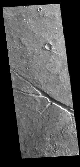 NASA image: Margaritifer Terra