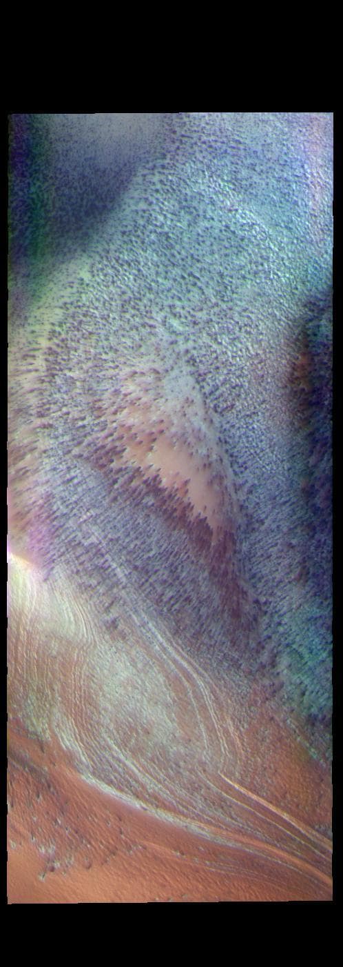 NASA image: South Polar Ice - False Color
