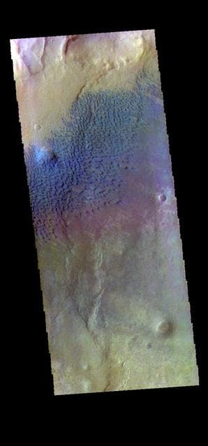 NASA image: Sumgin Crater - False Color