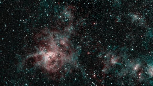 NASA image: Tarantula Nebula Spitzer 2-Color Image