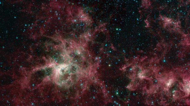 NASA image: Tarantula Nebula Spitzer 3-Color Image