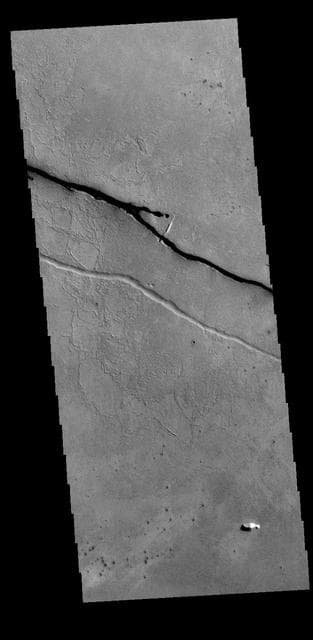 NASA image: Cerberus Fossae
