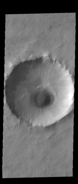NASA image: Acidalia Planitia Crater
