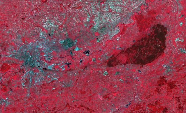 NASA image: Niepolmice Forest, Poland