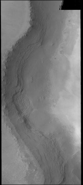 NASA image: Rupes Tenius