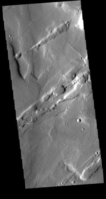 NASA image: Mareotis Fossae