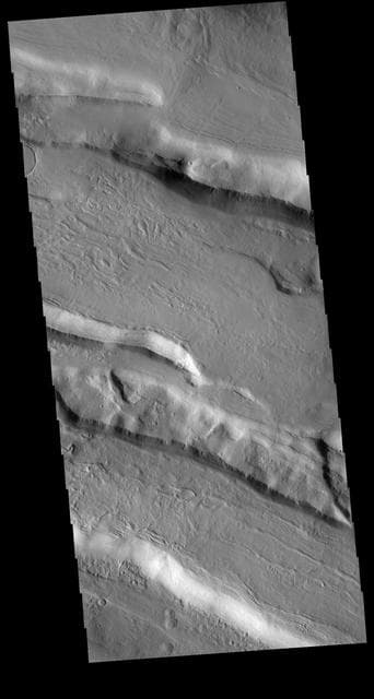 NASA image: Acheron Fossae